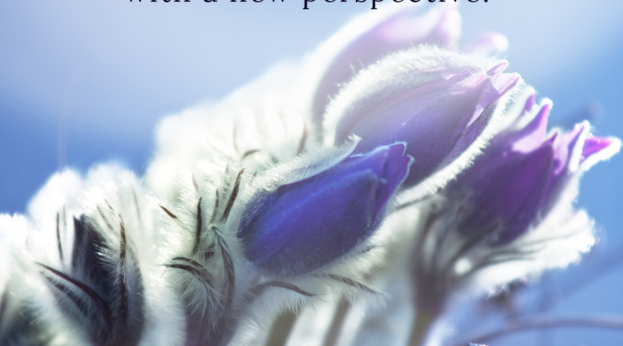 Enchanting Whispers of Spring – Affirmation 25-02