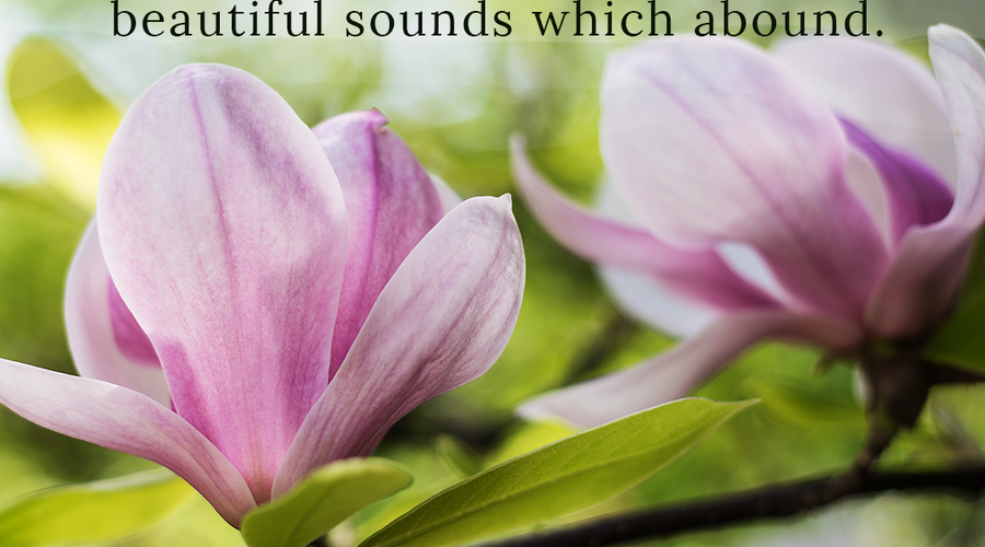 Enchanting Whispers of Spring – Affirmation 26-01