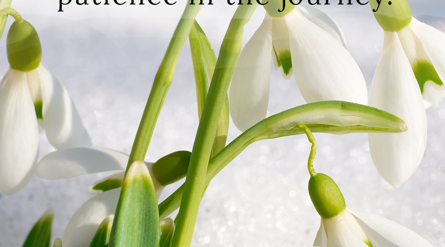 Enchanting Whispers of Spring – Affirmation 27-01