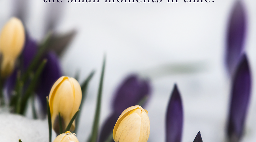 Enchanting Whispers of Spring – Affirmation 27-02