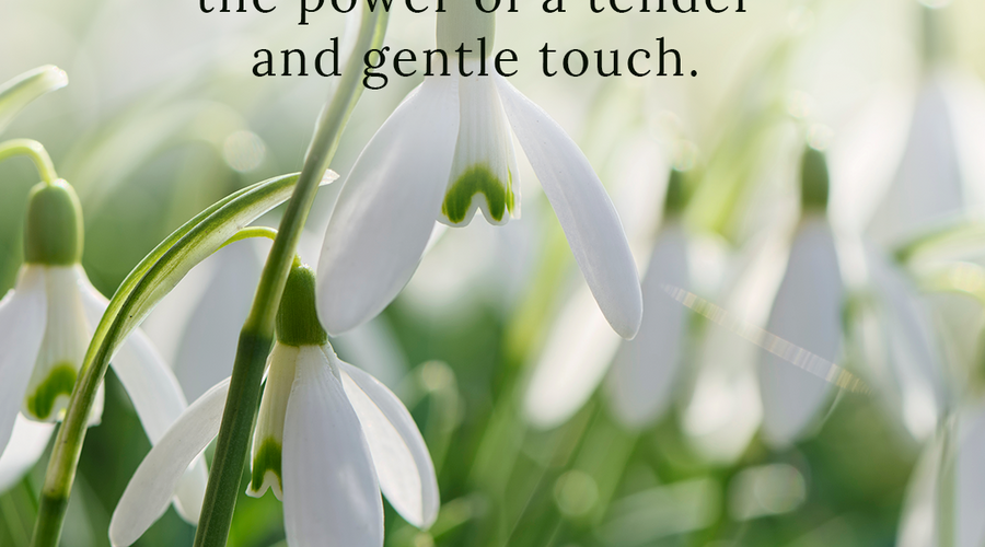 Enchanting Whispers of Spring – Affirmation 27-03