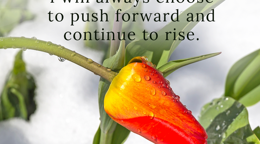 Enchanting Whispers of Spring – Affirmation 28-01