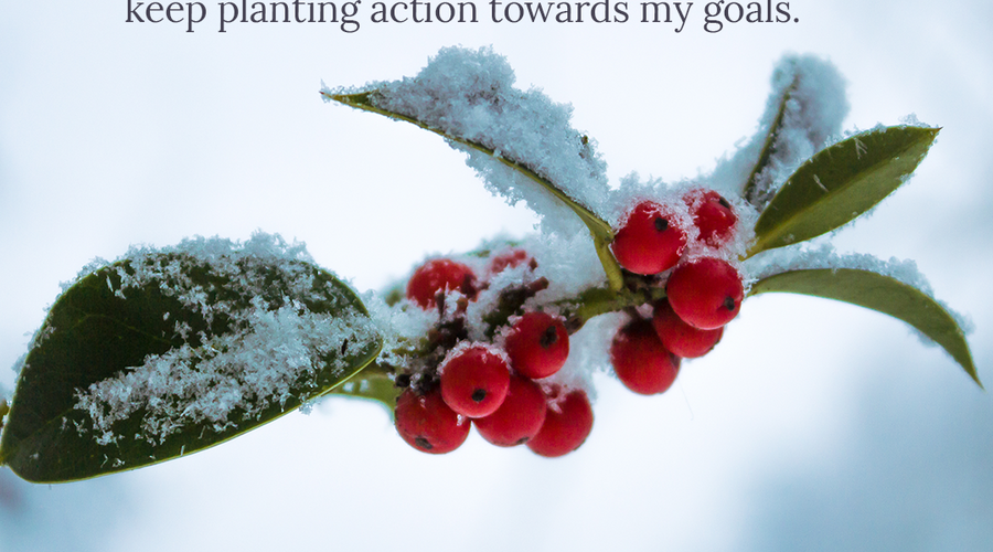 Enchanting Whispers of Winter—Day Twenty-Nine-02