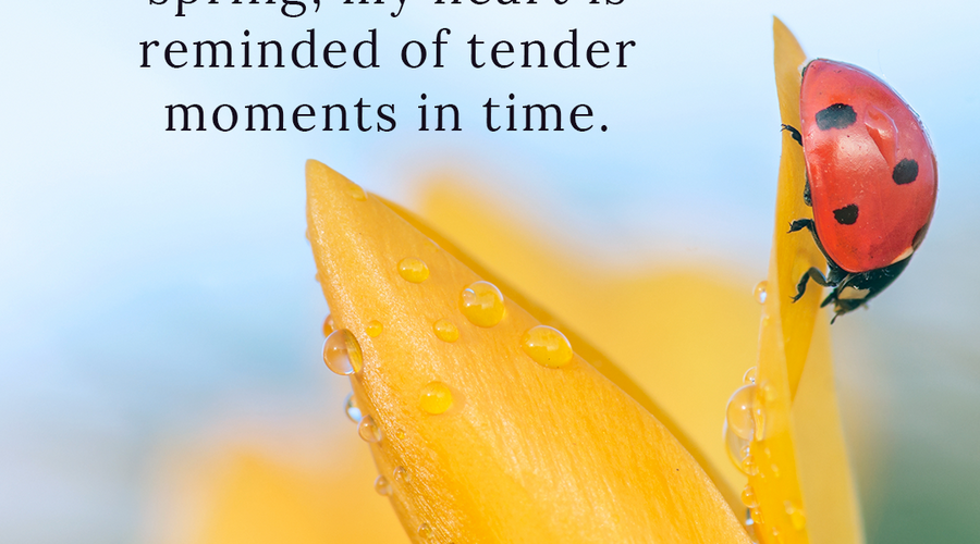 Enchanting Whispers of Spring – Affirmation 29-03