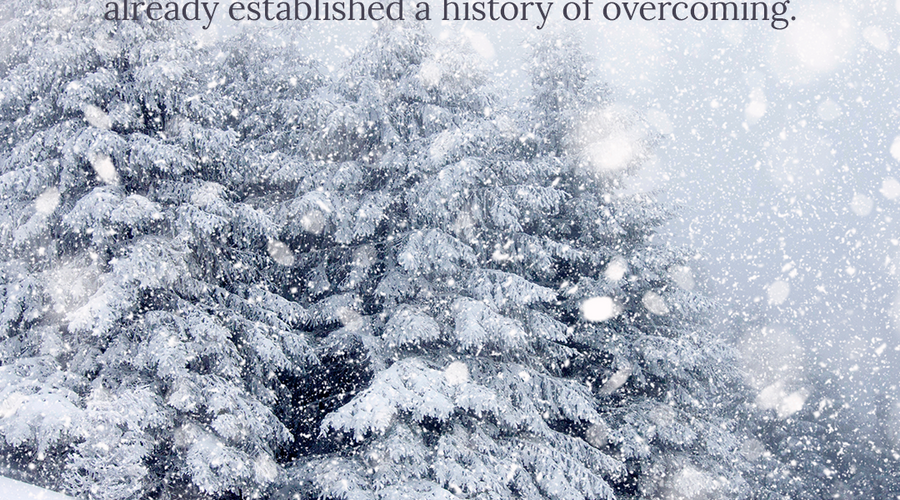 Enchanting Whispers of Winter—Day Thirty-01