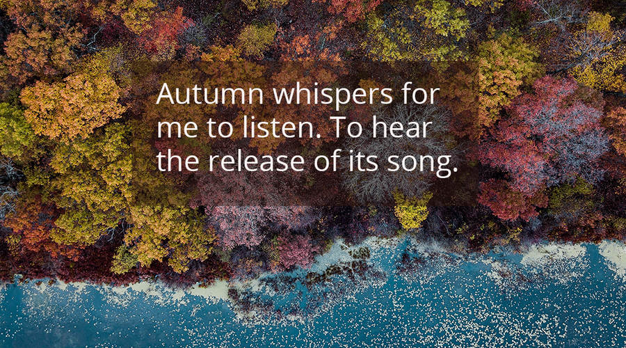 Enchanting Whispers of Autumn—Day One-02