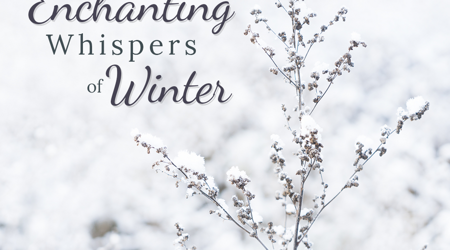 Enchanting Whispers of Winter Update