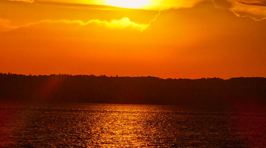 Enchanting Whispers of Summer—02-02
