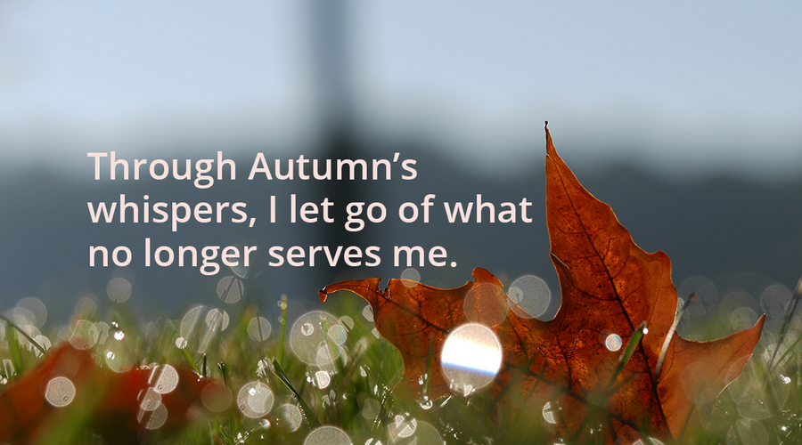 Enchanting Whispers of Autumn—Day Two-03
