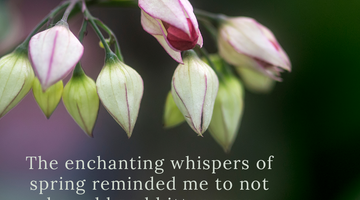 Enchanting Whispers of Spring – Affirmation 03-01