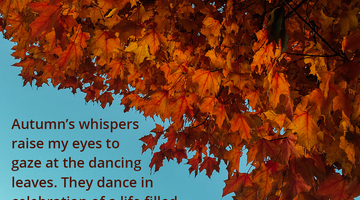 Enchanting Whispers of Autumn—Day Three-02
