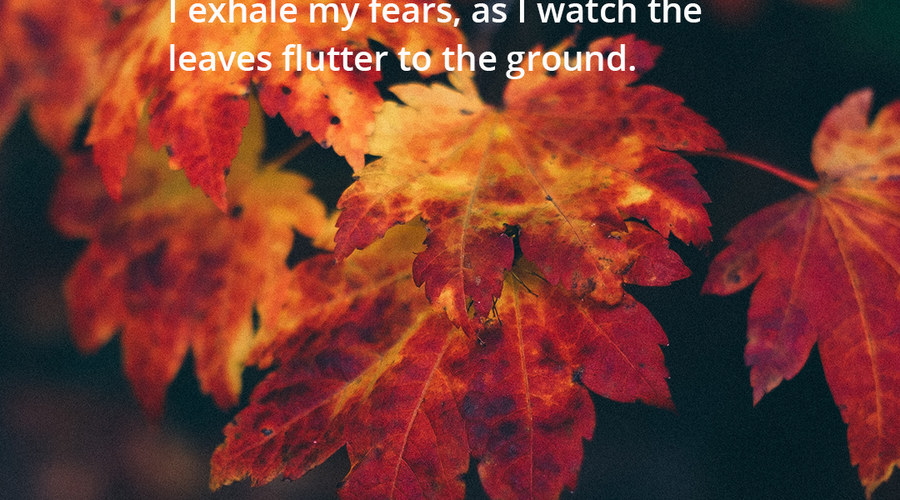 Enchanting Whispers of Autumn—Day Four-03