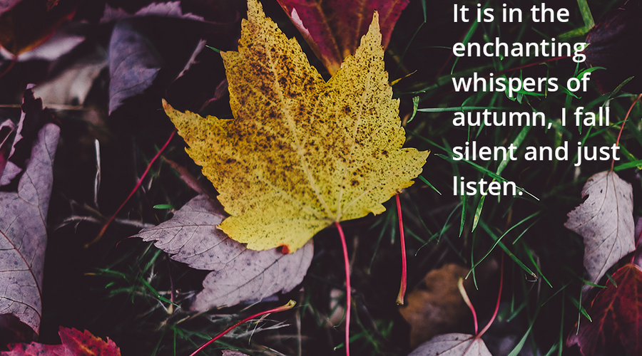 Enchanting Whispers of Autumn—Day Five-01