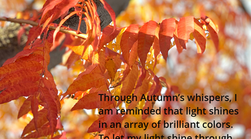 Enchanting Whispers of Autumn—Day Five-03