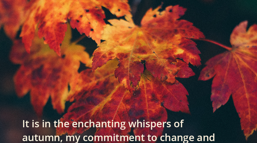 Enchanting Whispers of Autumn—Day Six-01