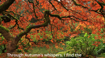 Enchanting Whispers of Autumn—Day Six-03