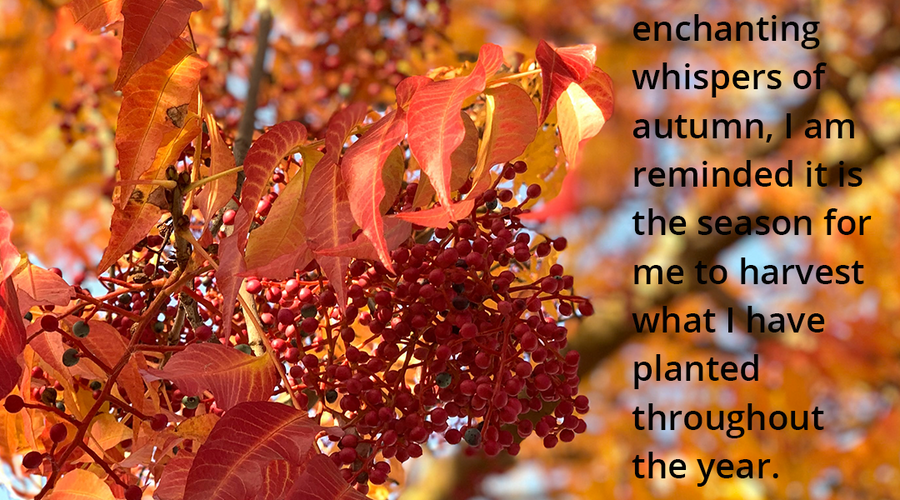 Enchanting Whispers of Autumn—Day Seven-01