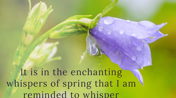 Enchanting Whispers of Spring – Affirmation 07-02