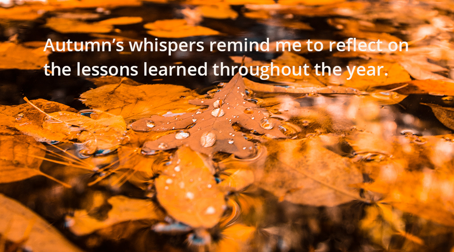 Enchanting Whispers of Autumn—Day Seven-03