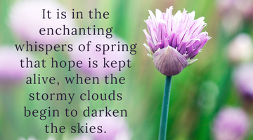 Enchanting Whispers of Spring – Affirmation 08-02