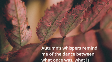 Enchanting Whispers of Autumn—Day Eight-02