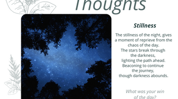 Evening Thoughts — Stillness