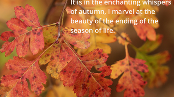 Enchanting Whispers of Autumn—Day Ten-01