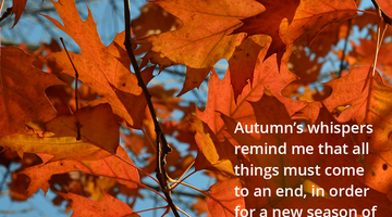 Enchanting Whispers of Autumn—Day Ten-02