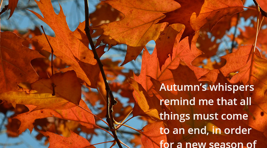 Enchanting Whispers of Autumn—Day Ten-02