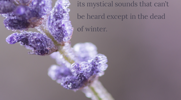 Enchanting Whispers of Winter—Day Ten-03