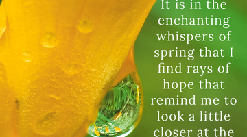Enchanting Whispers of Spring – Affirmation 10-03
