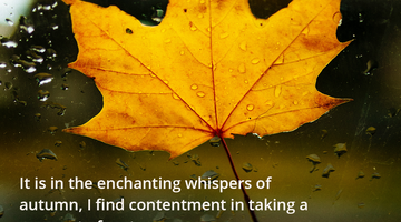 Enchanting Whispers of Autumn—Day Eleven-01