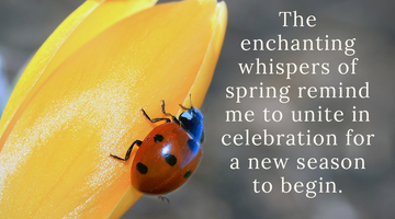 Enchanting Whispers of Spring – Affirmation 12-01