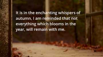 Enchanting Whispers of Autumn—Day Twelve-01