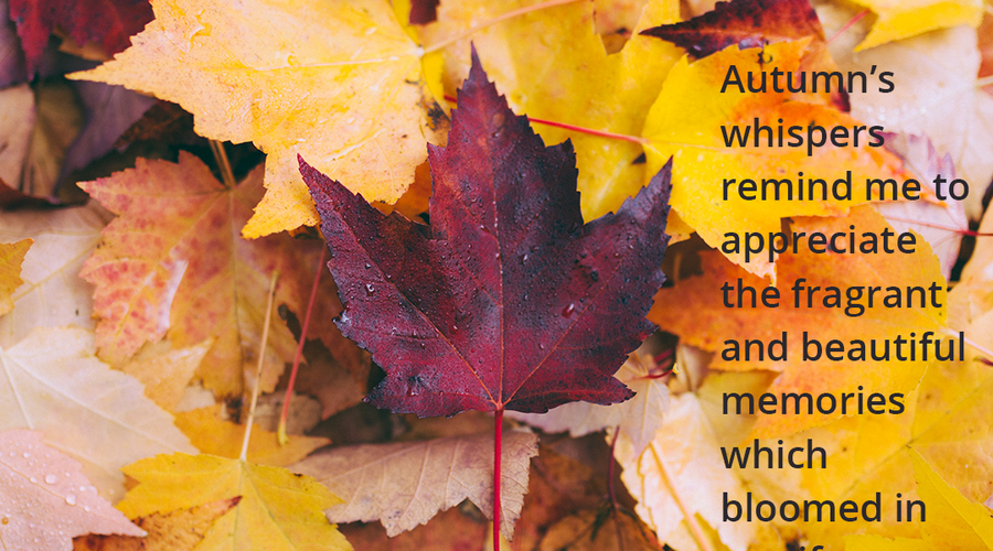 Enchanting Whispers of Autumn—Day Twelve-02