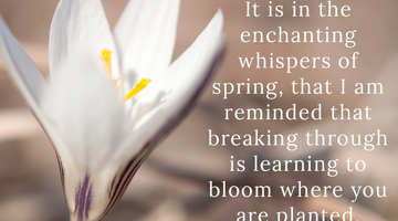 Enchanting Whispers of Spring – Affirmation 12-03