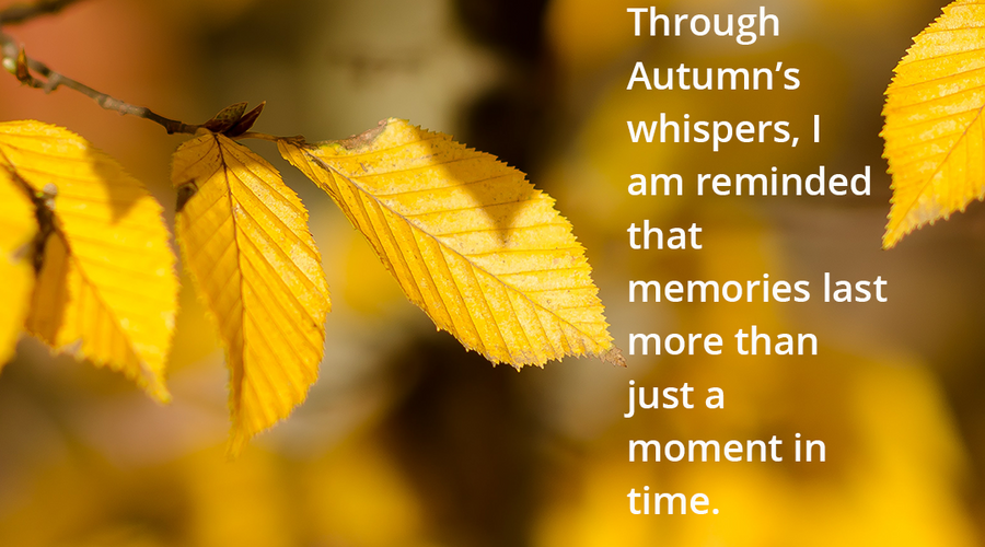 Enchanting Whispers of Autumn—Day Twelve-03