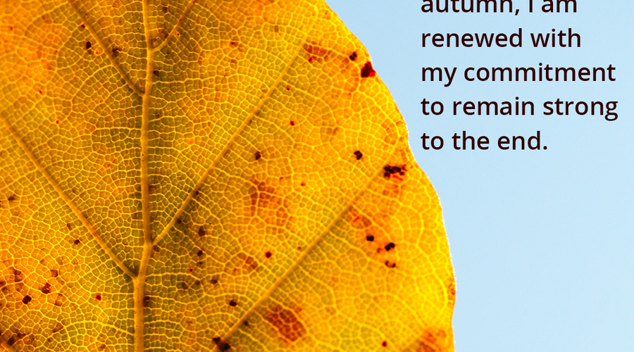 Enchanting Whispers of Autumn—Day Fourteen-01