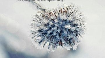 Enchanting Whispers of Winter—Day Fifteen-01