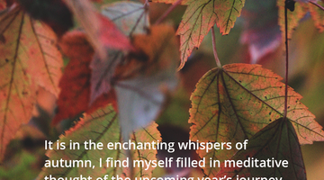 Enchanting Whispers of Autumn—Day Fifteen-01
