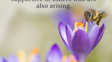 Enchanting Whispers of Spring – Affirmation 16-01