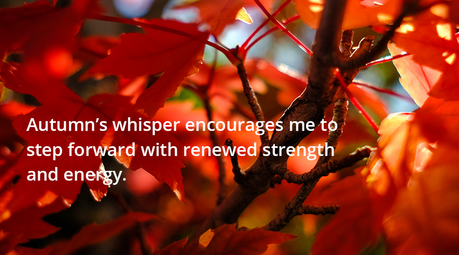 Enchanting Whispers of Autumn—Day Sixteen-02
