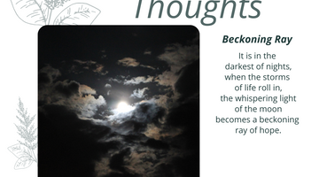 Evening Thoughts — Beckoning Ray