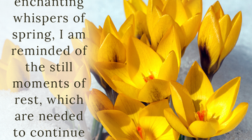 Enchanting Whispers of Spring – Affirmation 17-02