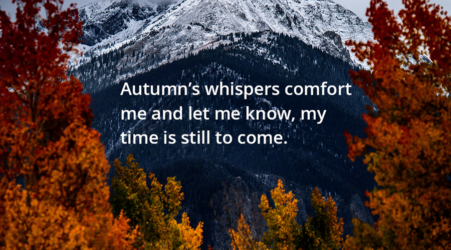 Enchanting Whispers of Autumn—Day Seventeen-02