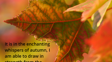 Enchanting Whispers of Autumn—Day Nineteen-01