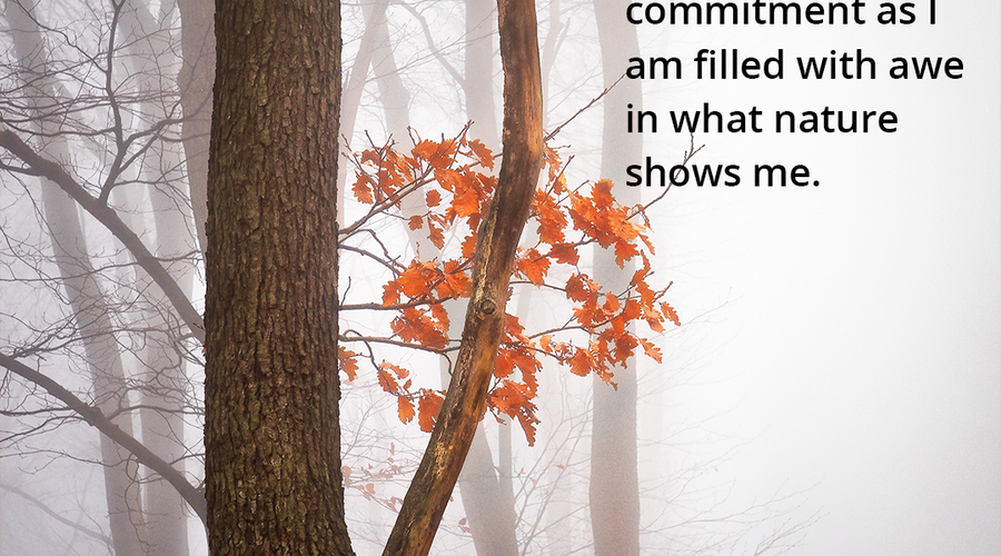 Enchanting Whispers of Autumn—Day Nineteen-03