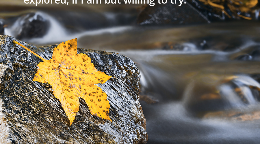 Enchanting Whispers of Autumn—Day Twenty-02