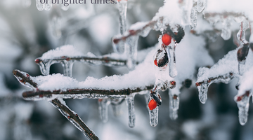 Enchanting Whispers of Winter—Day Twenty-03