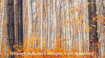 Enchanting Whispers of Autumn—Day Twenty-03